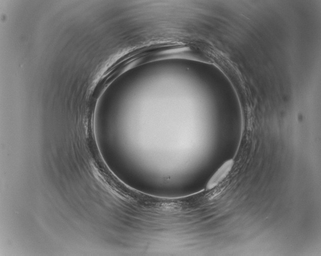 X0000057090060200509091324