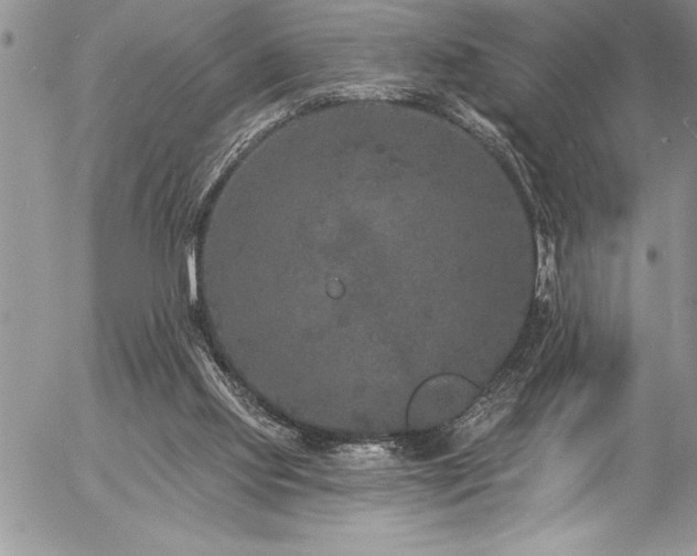 X0000057090061200509091324