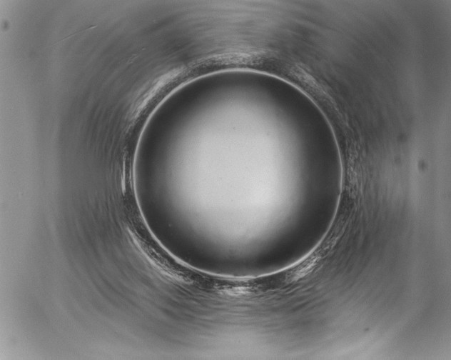 X0000057090062200509091324