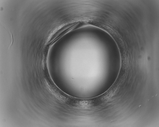 X0000057090064200509091324