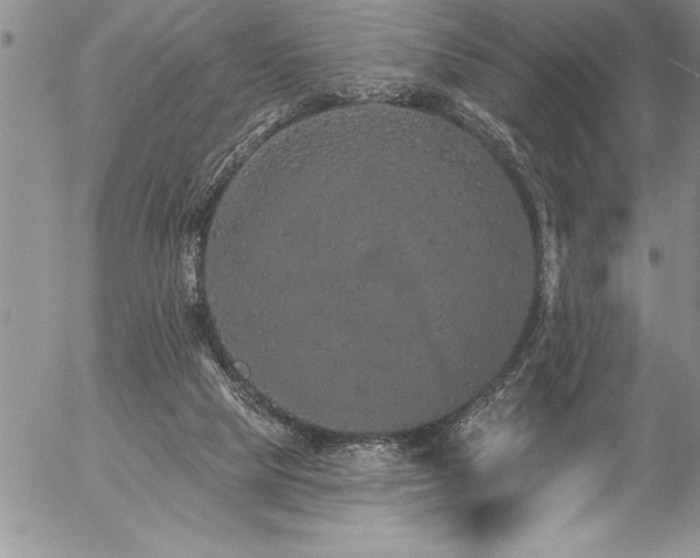 X0000057090065200509091324