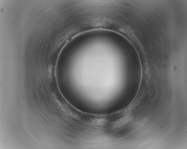 X0000057090066200509091324