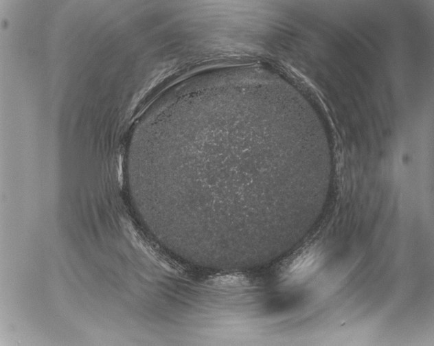 X0000057090067200509091324