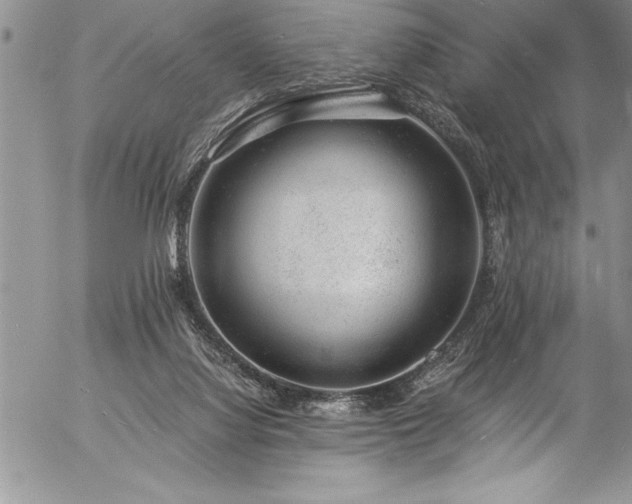 X0000057090068200509091324