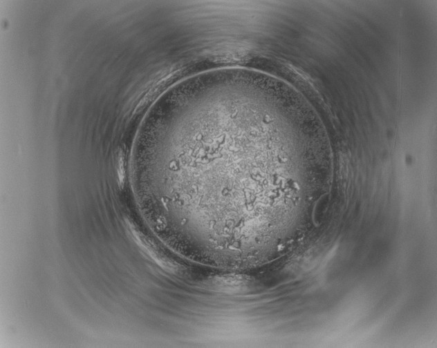 X0000057090069200509091324