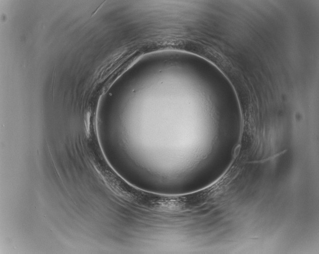 X0000057090070200509091324