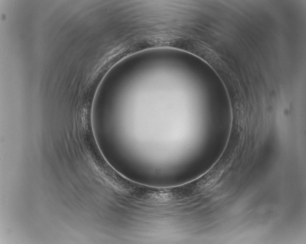 X0000057090071200509091324