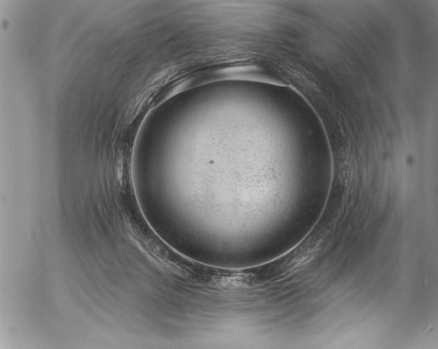 X0000057090072200509091324