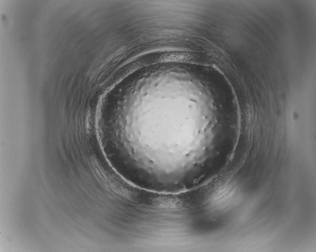 X0000057090073200509091324