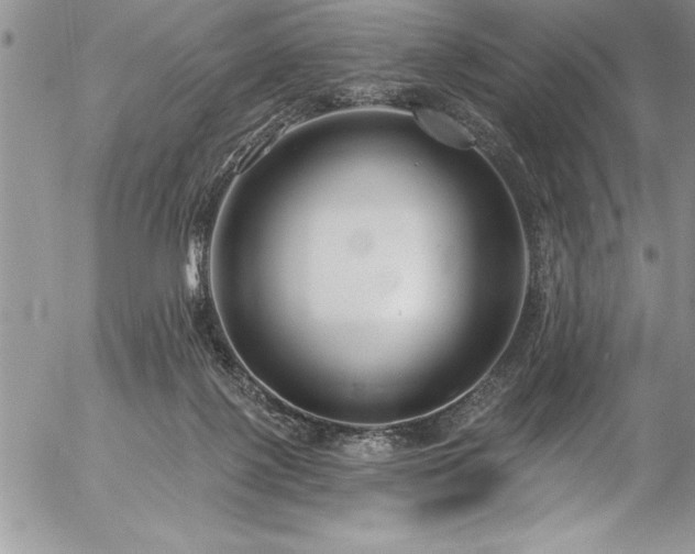 X0000057090075200509091324