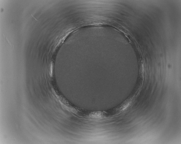 X0000057090076200509091324