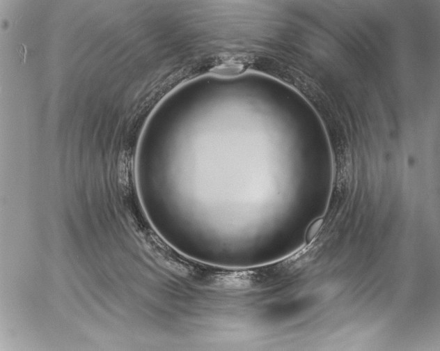 X0000057090078200509091324