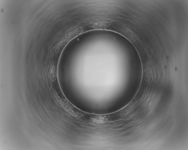 X0000057090079200509091324