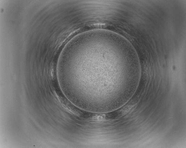 X0000057090080200509091324