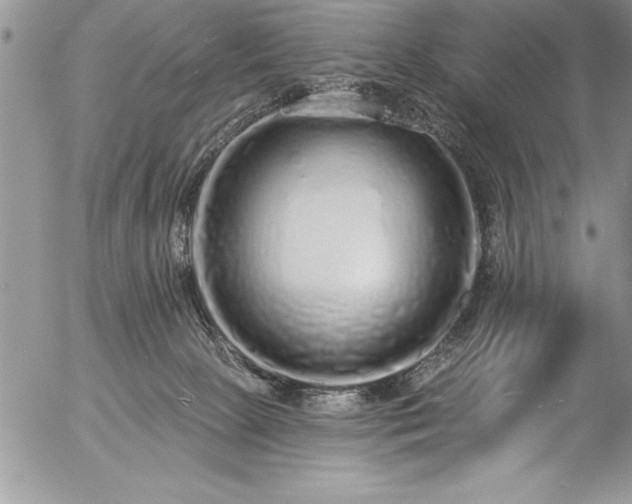 X0000057090081200509091324