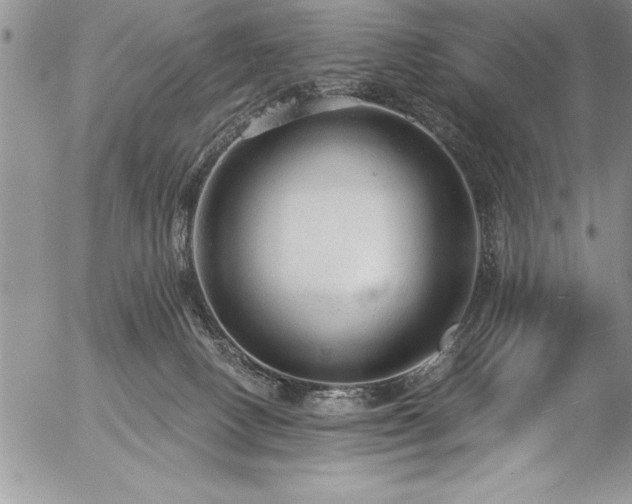 X0000057090082200509091324