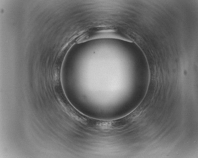 X0000057090084200509091324