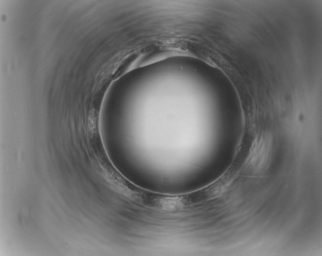 X0000057090085200509091324