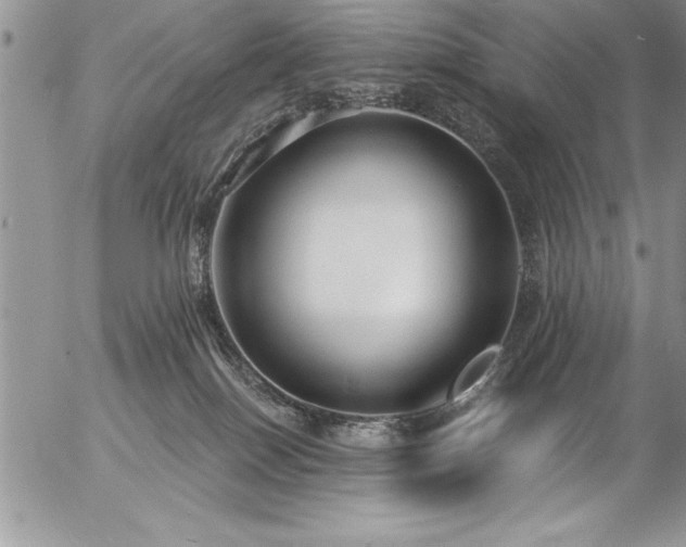 X0000057090086200509091324