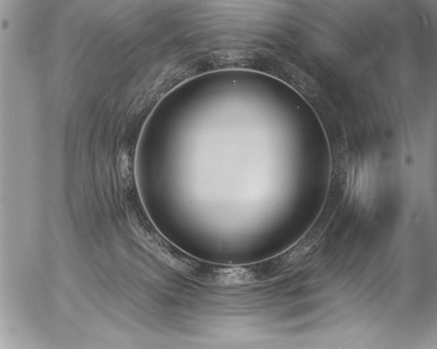 X0000057090087200509091324