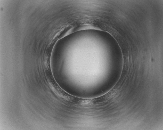 X0000057090088200509091324