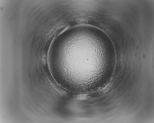 X0000057090090200509091324