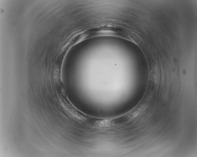 X0000057090092200509091324