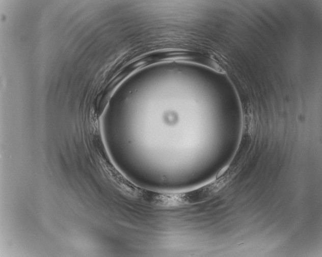 X0000057090093200509091324