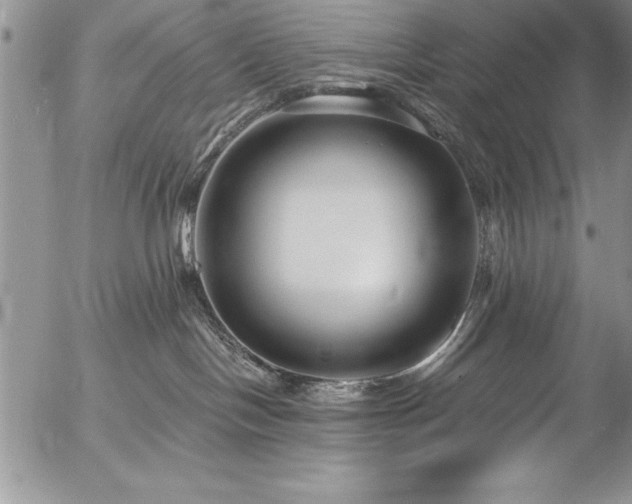 X0000057090094200509091325