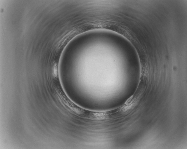 X0000057090095200509091325