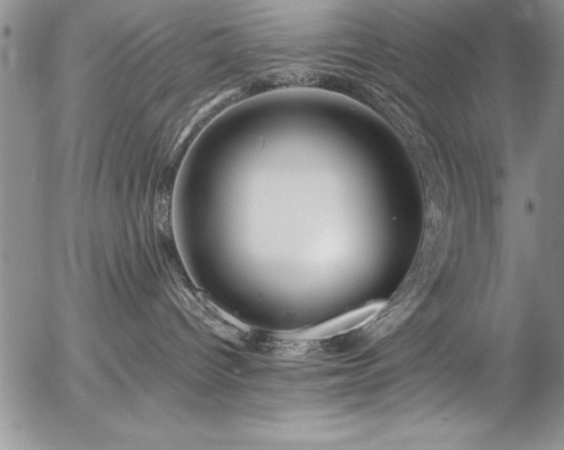 X0000057090096200509091325