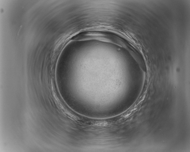 X0000057090097200509091324