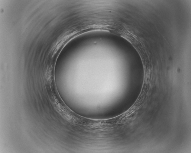 X0000057090098200509091324