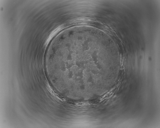 X0000057090099200509091324