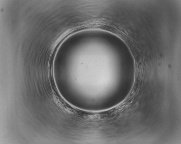 X0000057090100200509091324