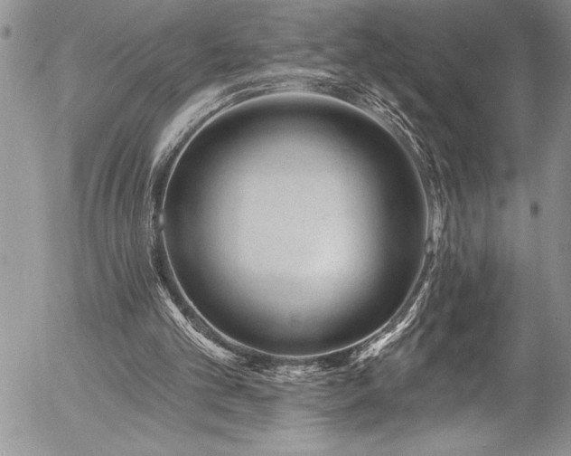 X0000057090101200509091324