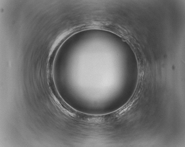 X0000057090102200509091324