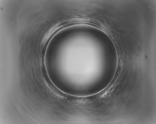 X0000057090103200509091324