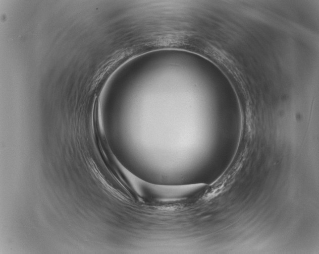 X0000057090105200509091324