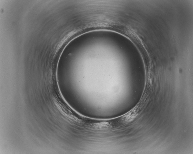 X0000057090108200509091324