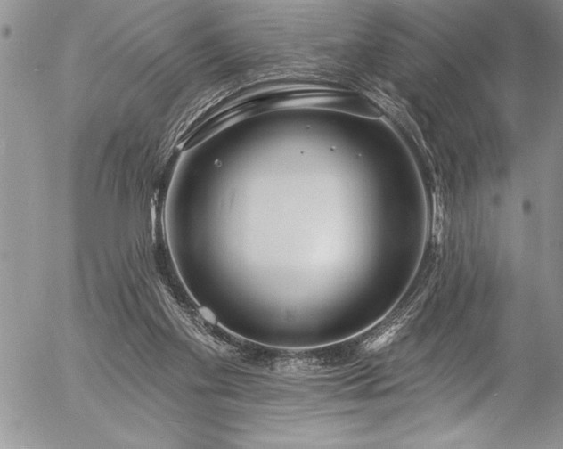 X0000057090109200509091324