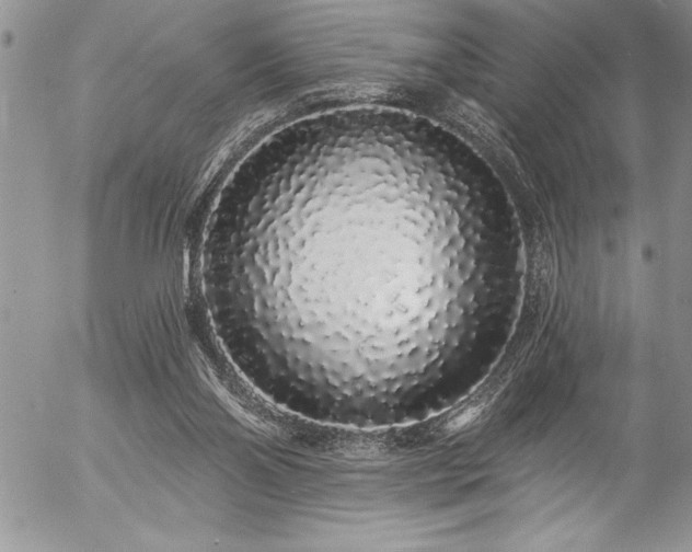 X0000057090110200509091324