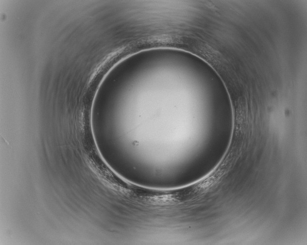 X0000057090112200509091323