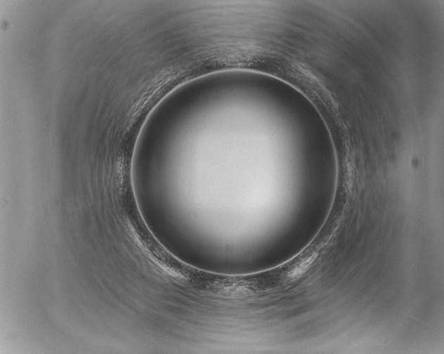 X0000057090113200509091323