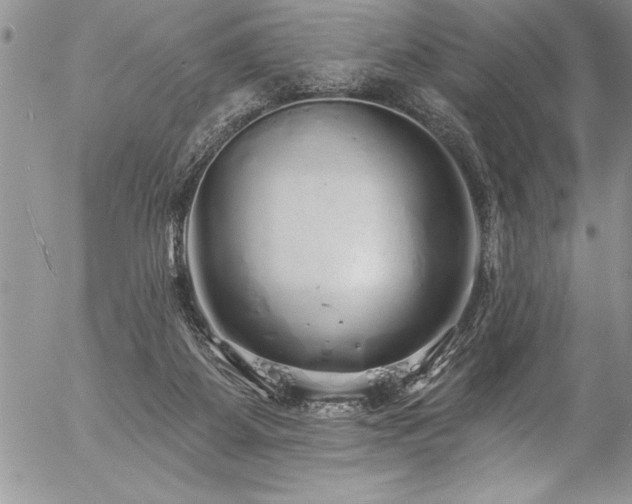 X0000057090115200509091323