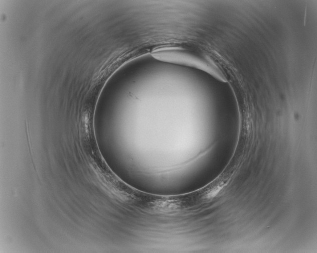 X0000057090117200509091323