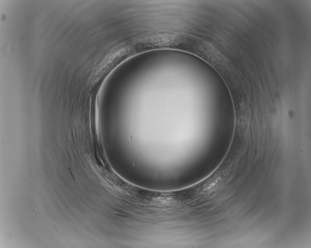 X0000057090119200509091323