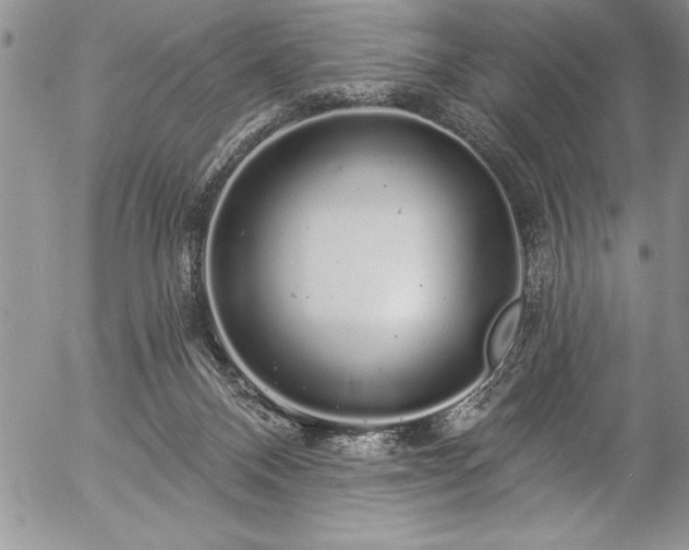 X0000057090120200509091323