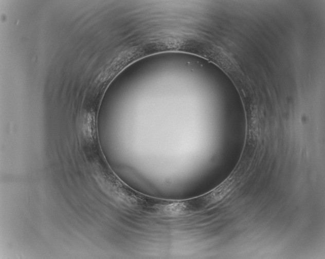 X0000057090122200509091323