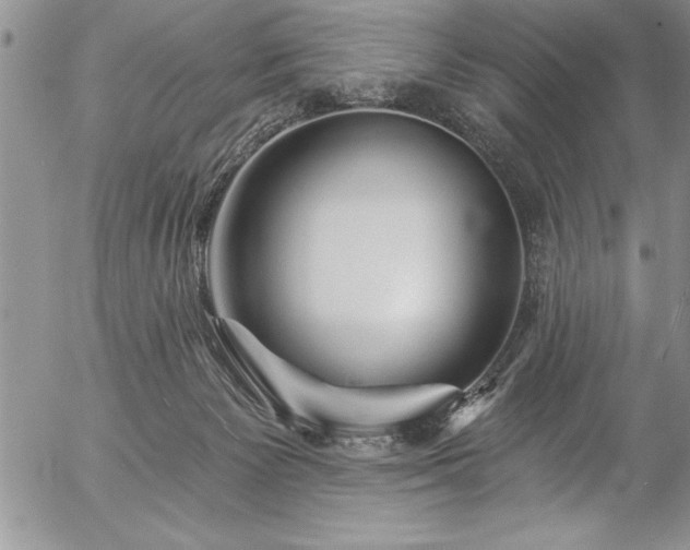 X0000057090125200509091323